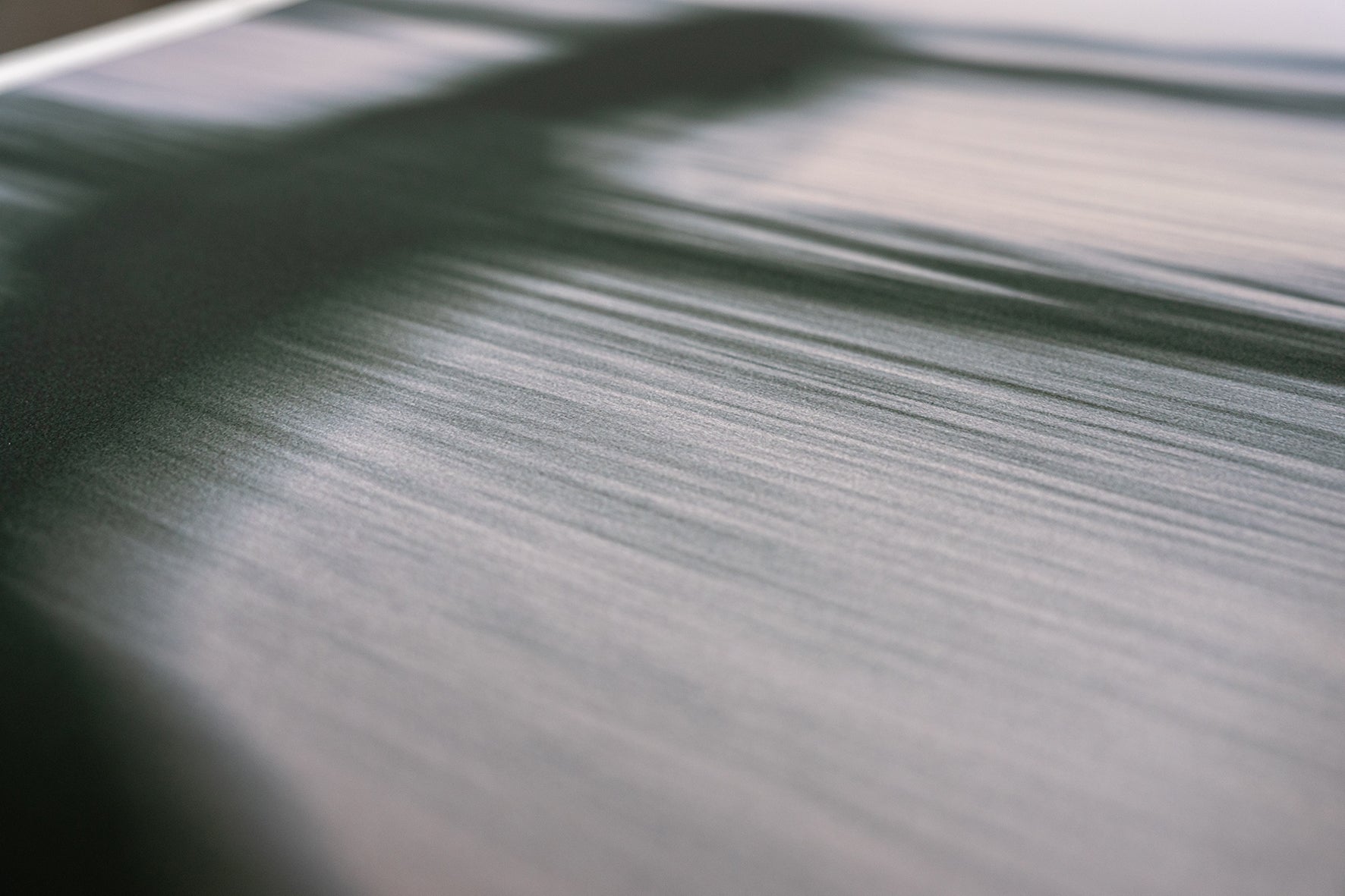 Whispering Echo | Limited Edition